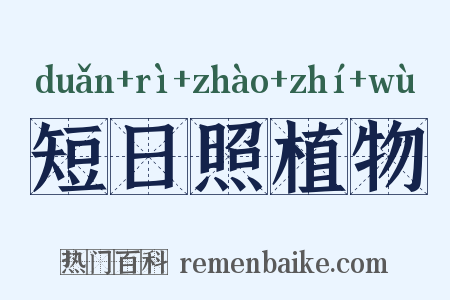短日照植物是什么意思的图片